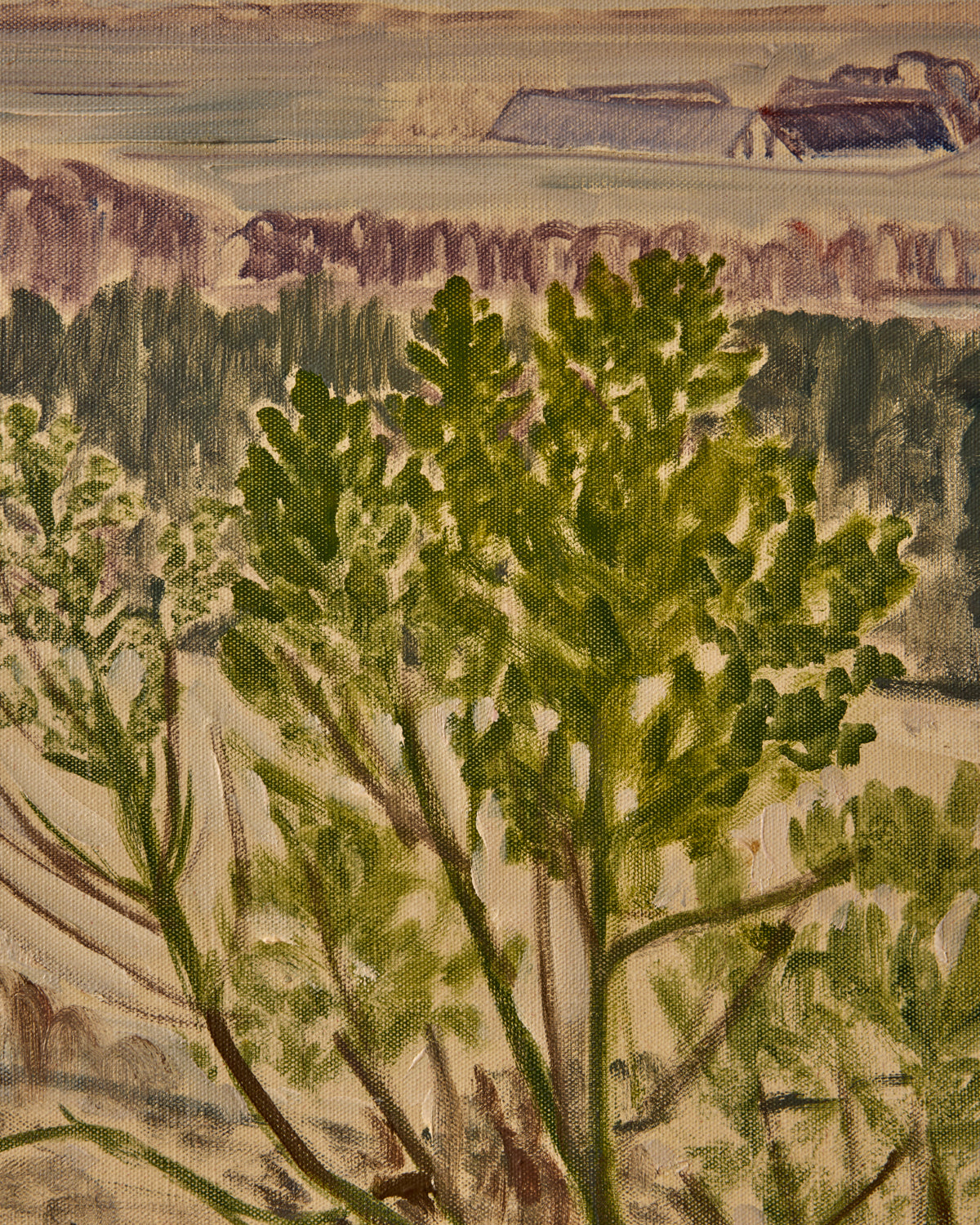 Landscape