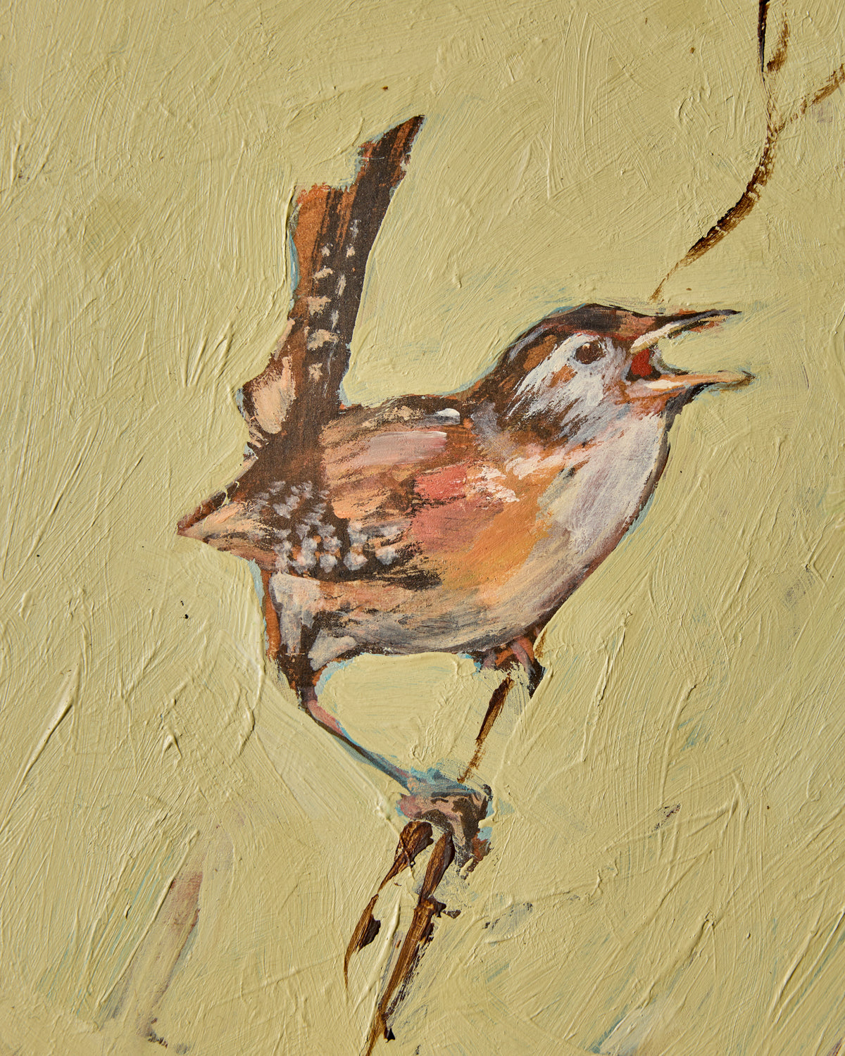 "Wrens in the Willow Woods"