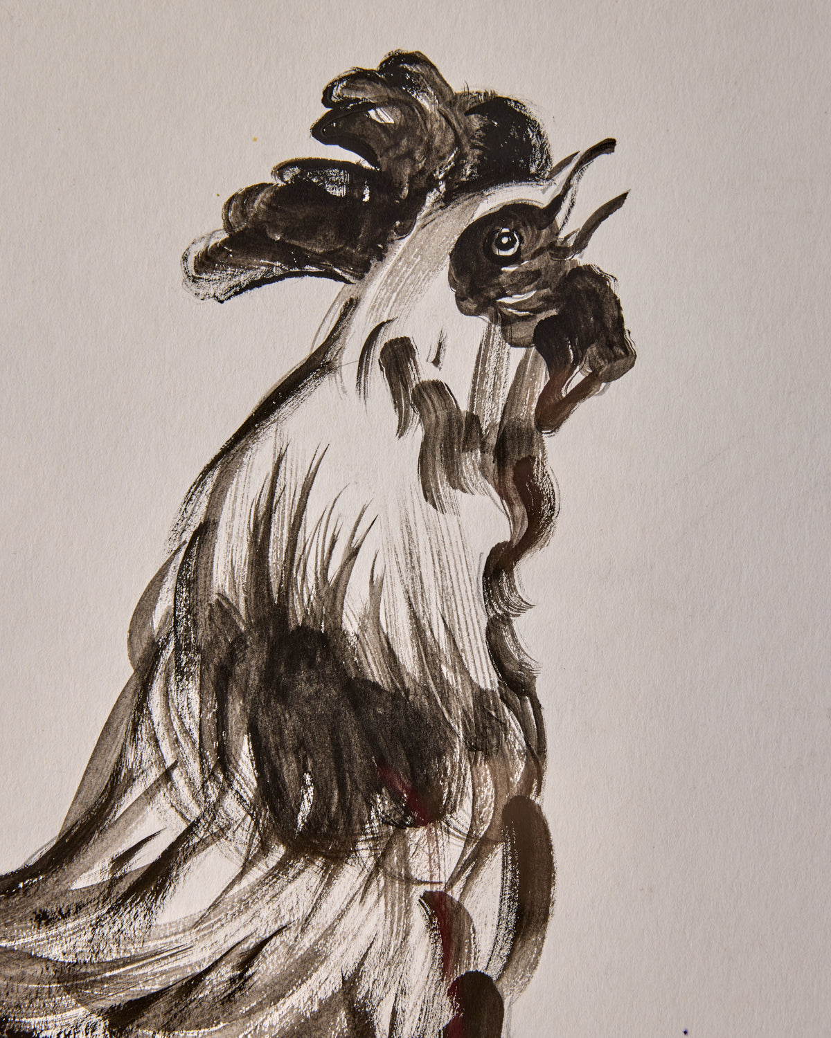Rooster