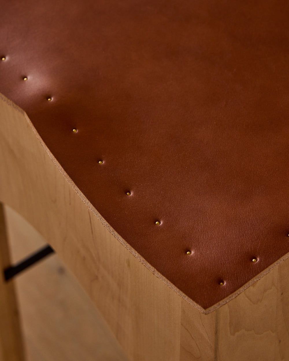 #leather-finish_tan harness
