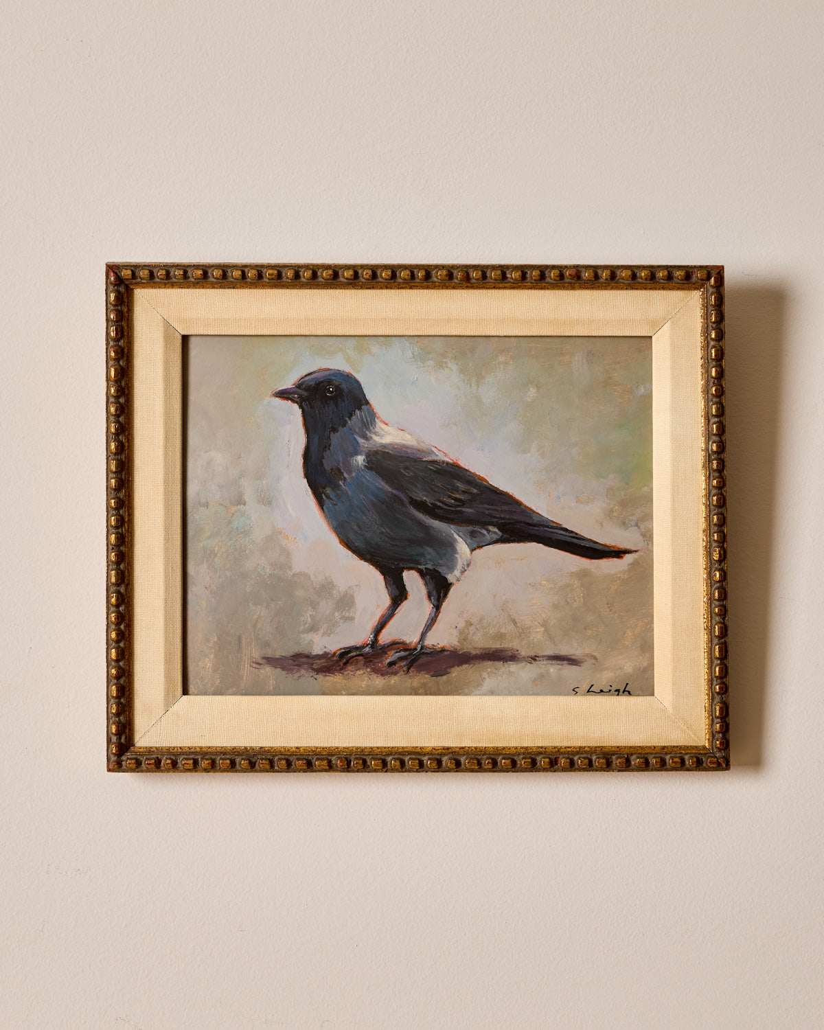 "Grackle Bird"
