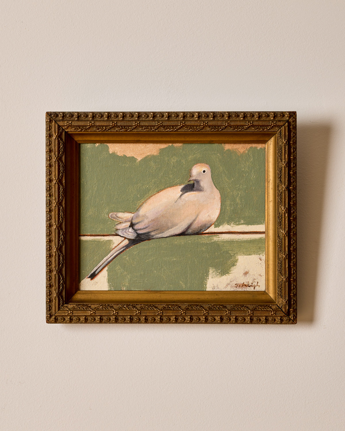 "Peace Dove"