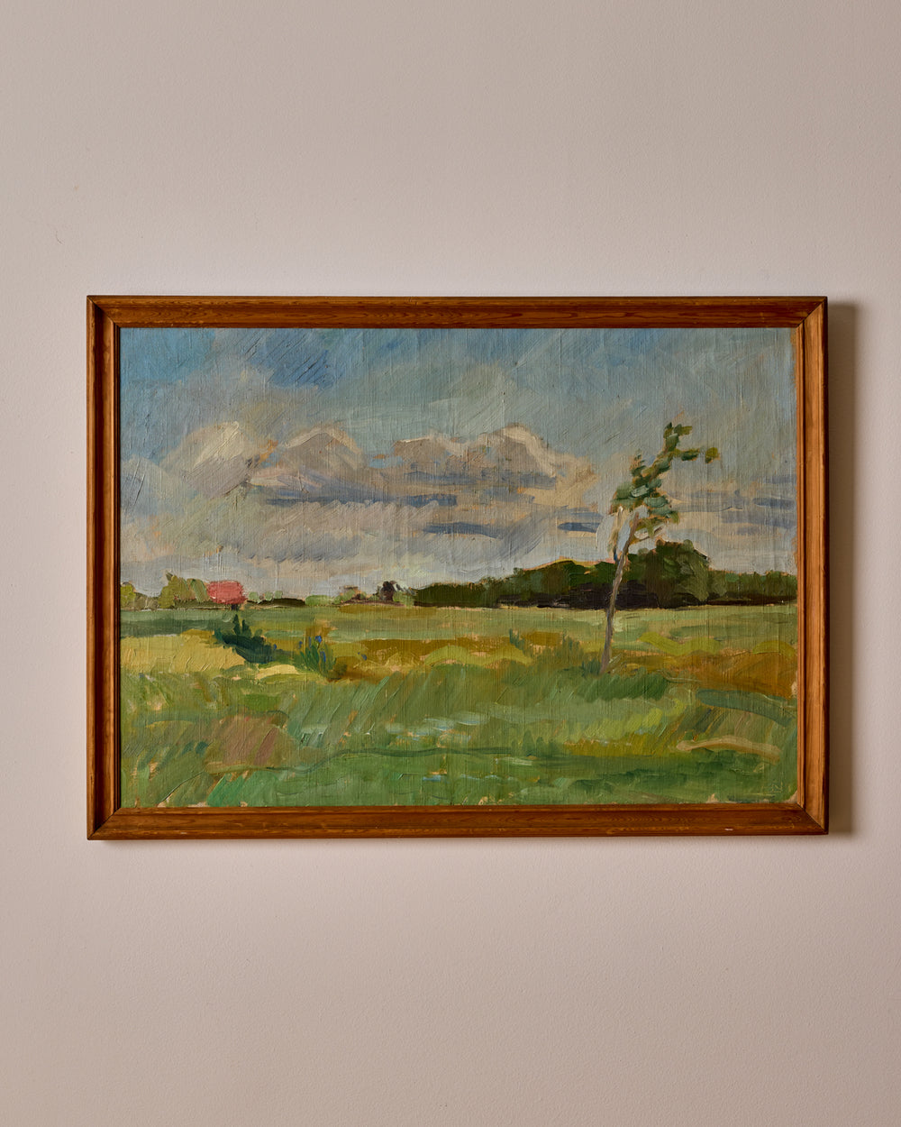 Danish Landscape