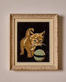 Kitten on Black Velvet