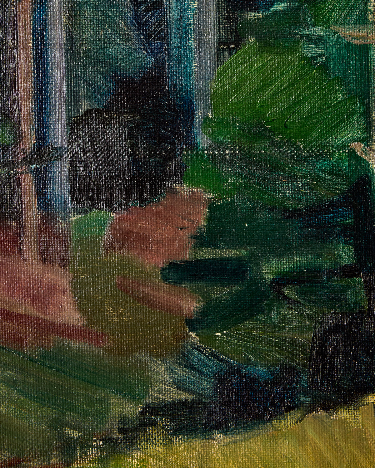 Entering Dense Forest
