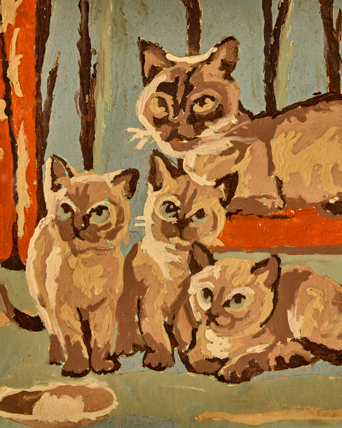 Siamese Kittens