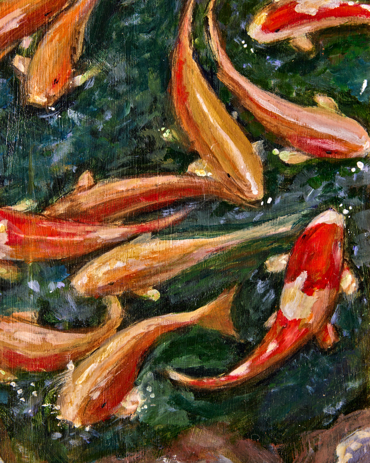 "Pond Fish"
