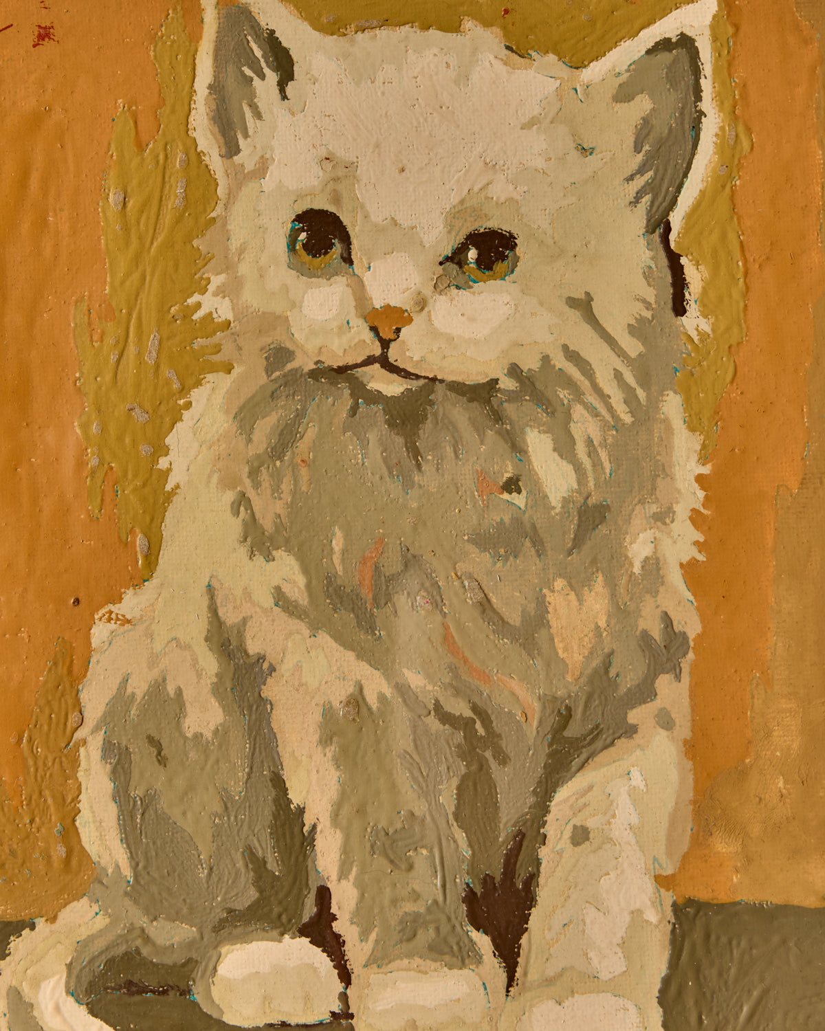 White Kitten