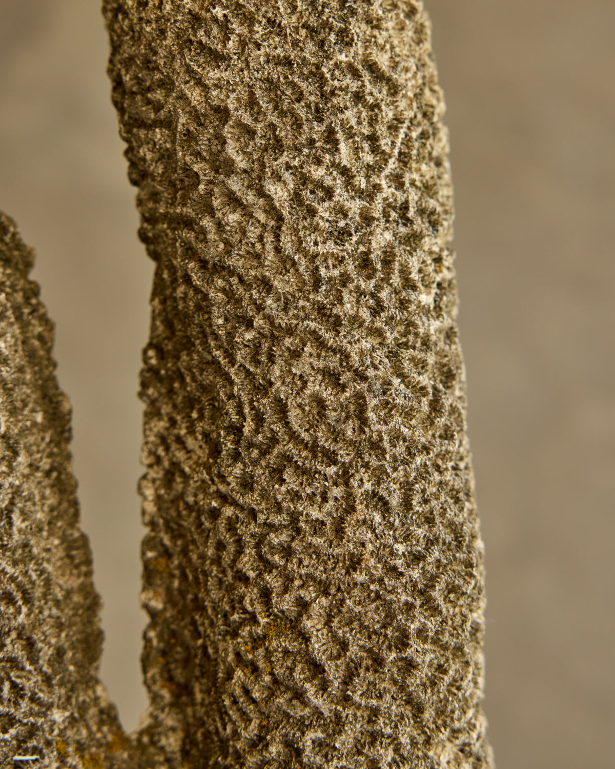 Concrete Sculpture