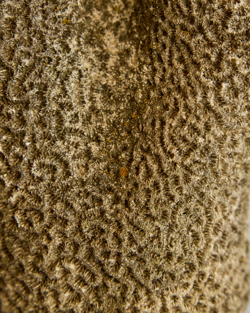 Concrete Sculpture