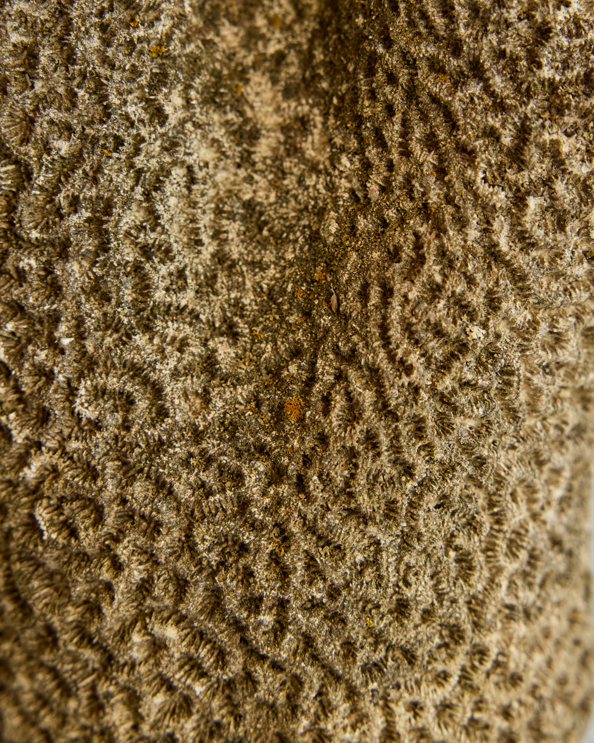 Concrete Sculpture