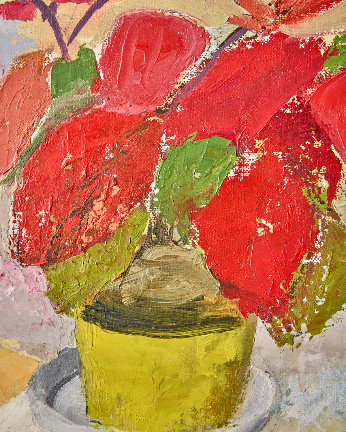 Laceleaf Still Life