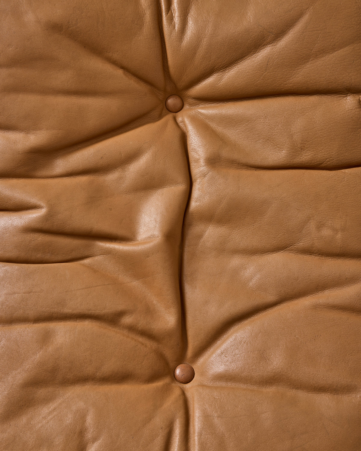 Leather 'Siesta' Lounge Chair + Ottoman