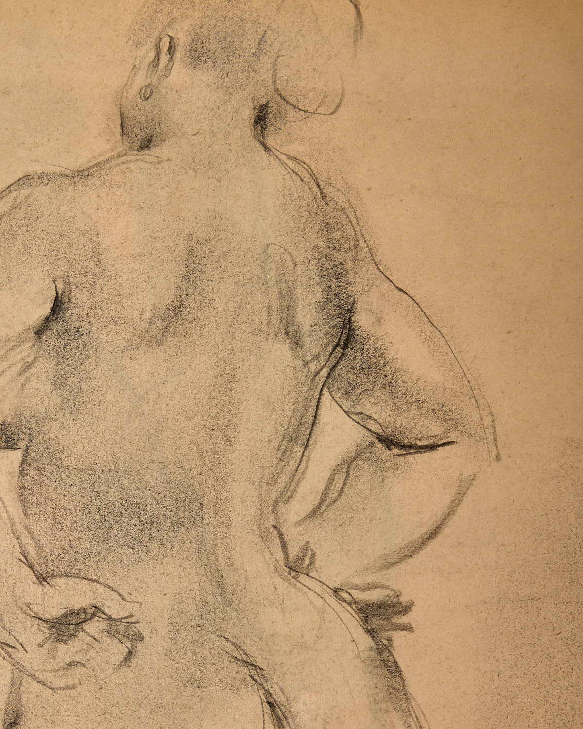 Figure Study in Charcoal II