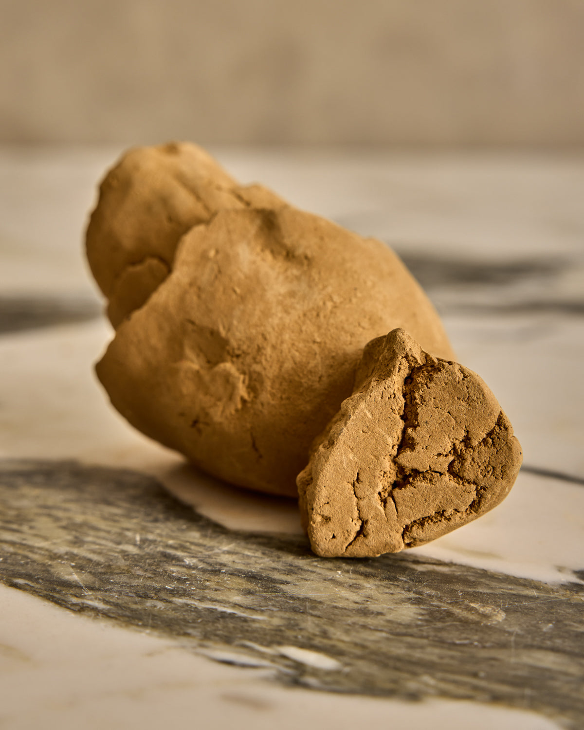 Ceramic Rose Sculptures