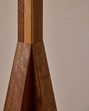 Anouck Floor Lamp - Black Walnut