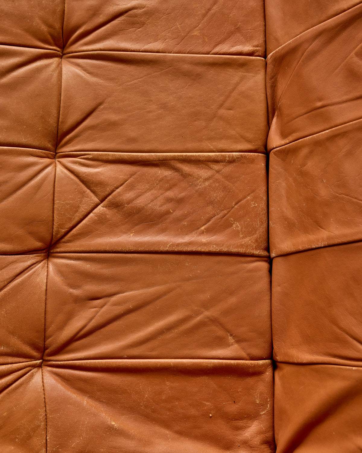 Rosewood + Butterscotch Leather Sofa by Percival Lafer