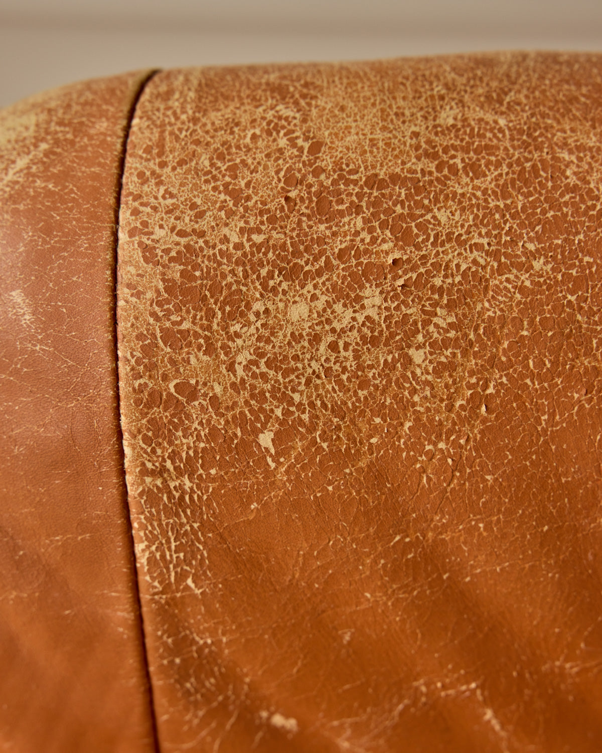Rosewood + Butterscotch Leather Sofa by Percival Lafer
