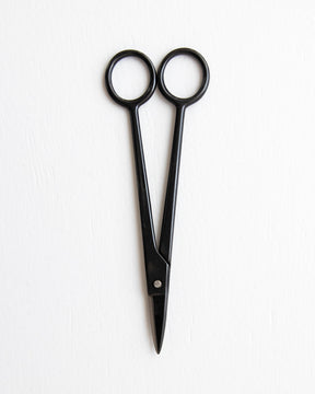 Craft Scissors